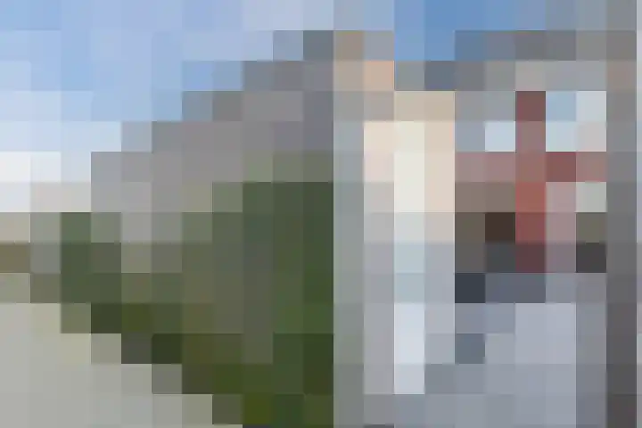 Penningkruid 86 Bodegraven thumbnail 69