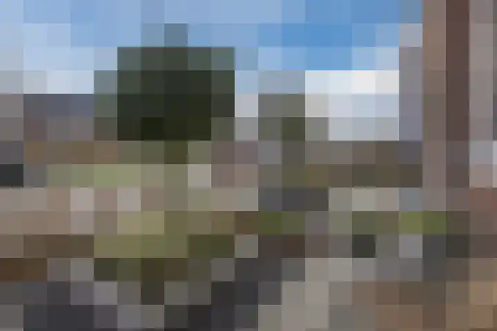 Penningkruid 86 Bodegraven thumbnail 7