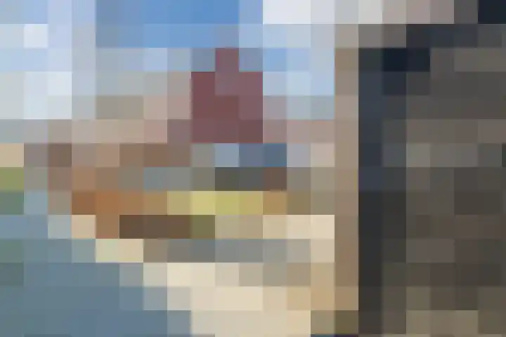 Penningkruid 86 Bodegraven thumbnail 70