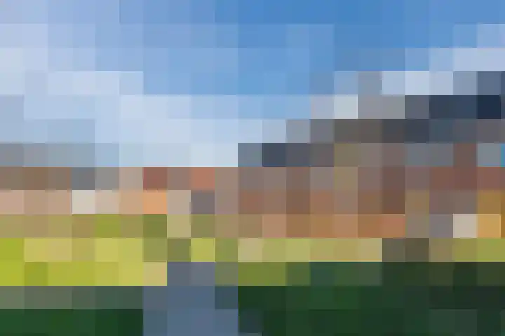 Penningkruid 86 Bodegraven thumbnail 71
