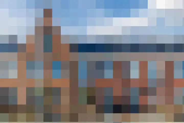Penningkruid 86 Bodegraven thumbnail 72
