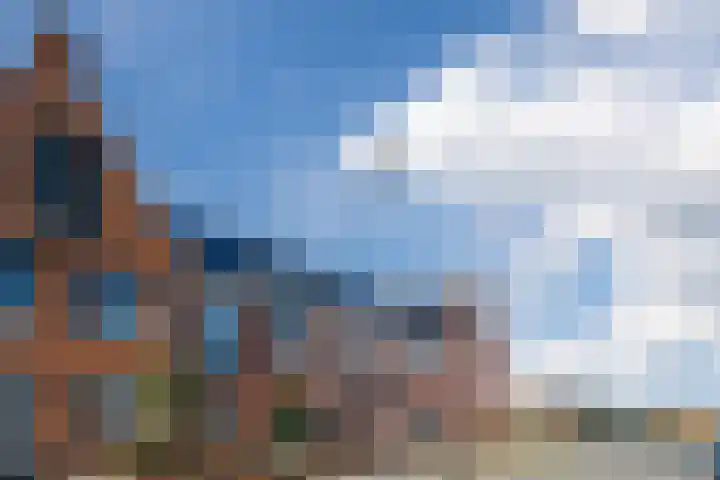 Penningkruid 86 Bodegraven thumbnail 73