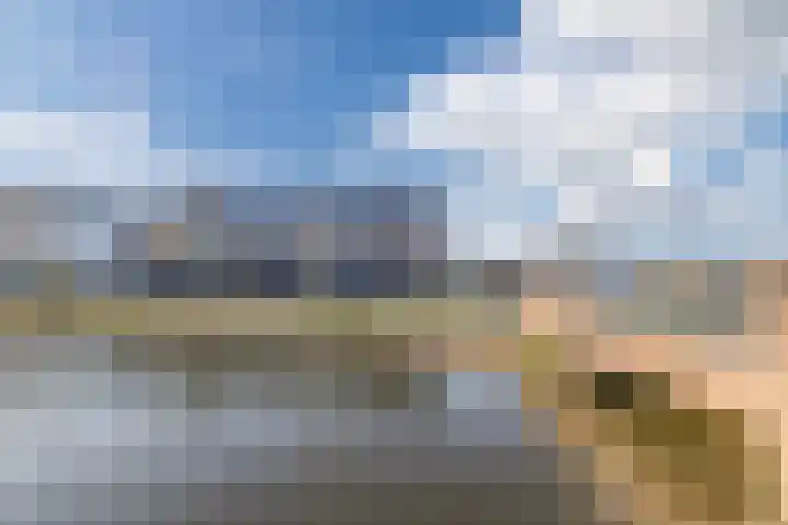 Penningkruid 86 Bodegraven thumbnail 74