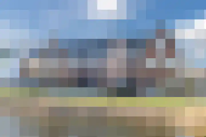 Penningkruid 86 Bodegraven thumbnail 75