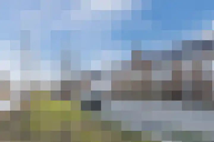 Penningkruid 86 Bodegraven thumbnail 76