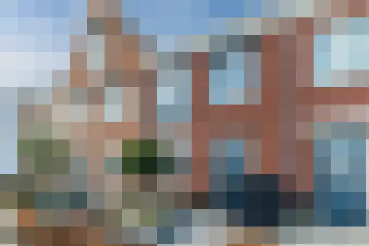Penningkruid 86 Bodegraven thumbnail 77