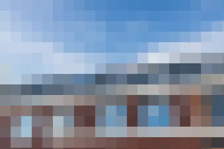 Penningkruid 86 Bodegraven thumbnail 78