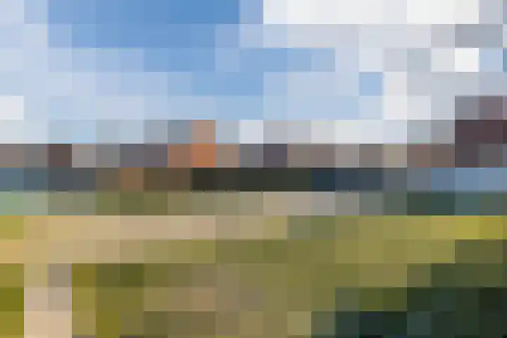 Penningkruid 86 Bodegraven thumbnail 79