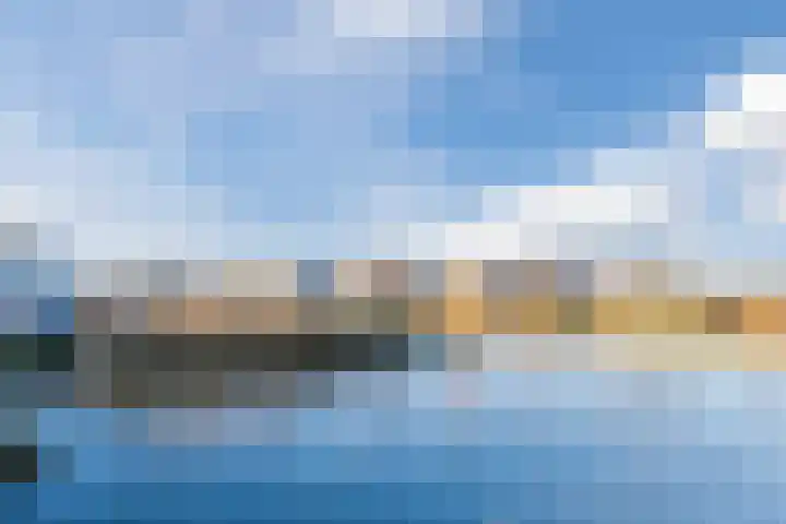 Penningkruid 86 Bodegraven thumbnail 82