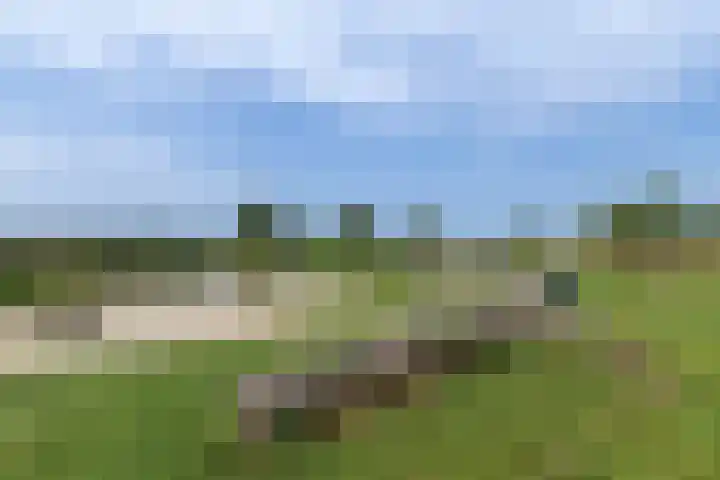 Penningkruid 86 Bodegraven thumbnail 84