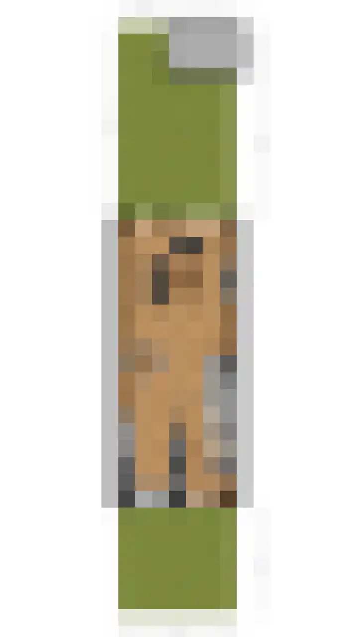 Penningkruid 86 Bodegraven thumbnail 89