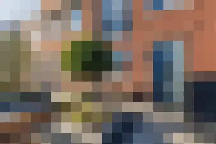 Penningkruid 86 Bodegraven thumbnail 9