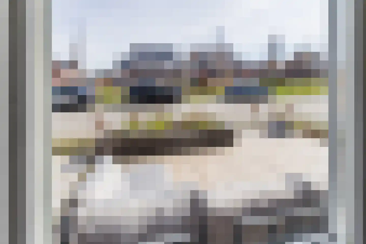 Penningkruid 88 Bodegraven thumbnail 18