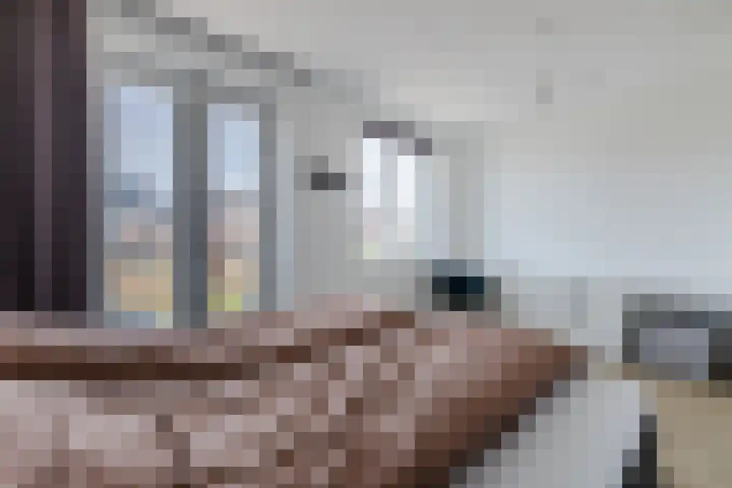Penningkruid 88 Bodegraven thumbnail 34