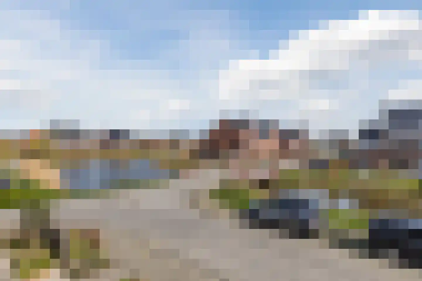 Penningkruid 88 Bodegraven thumbnail 36