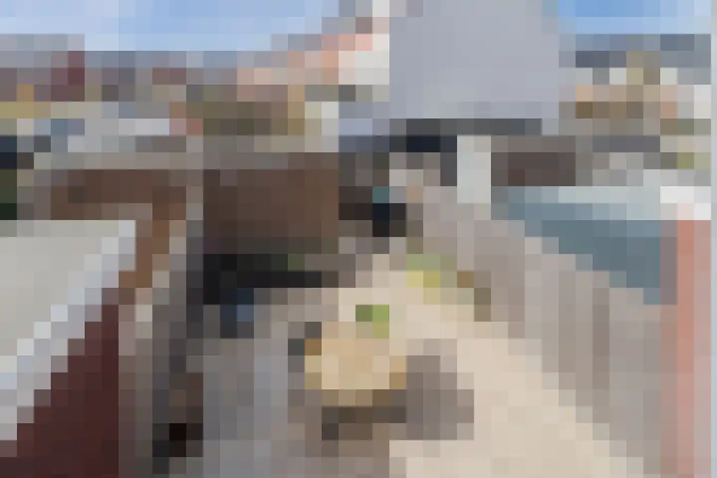 Penningkruid 88 Bodegraven thumbnail 45