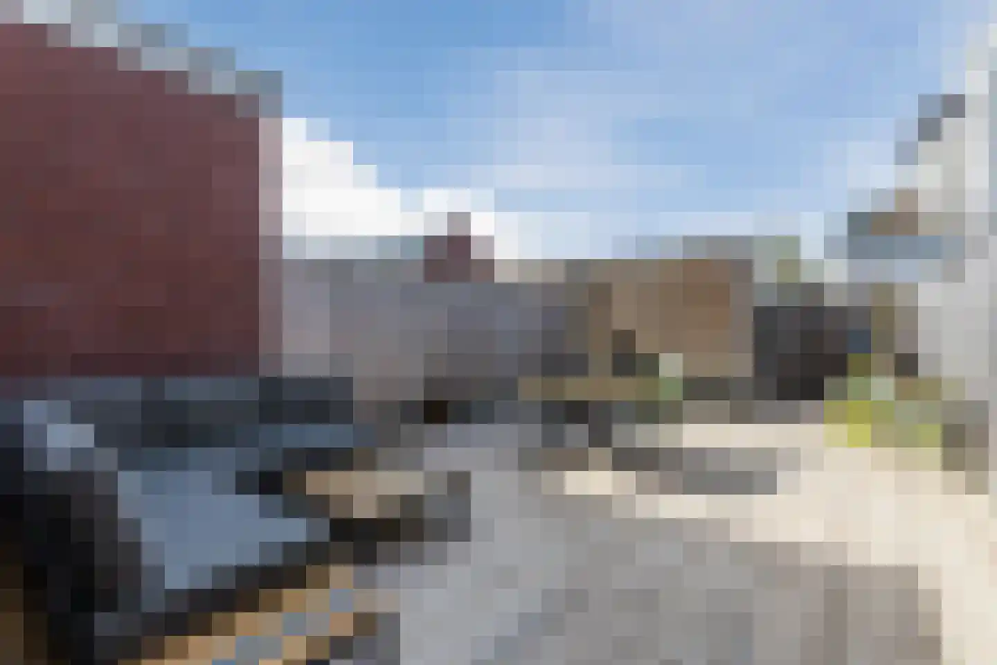 Penningkruid 88 Bodegraven thumbnail 5