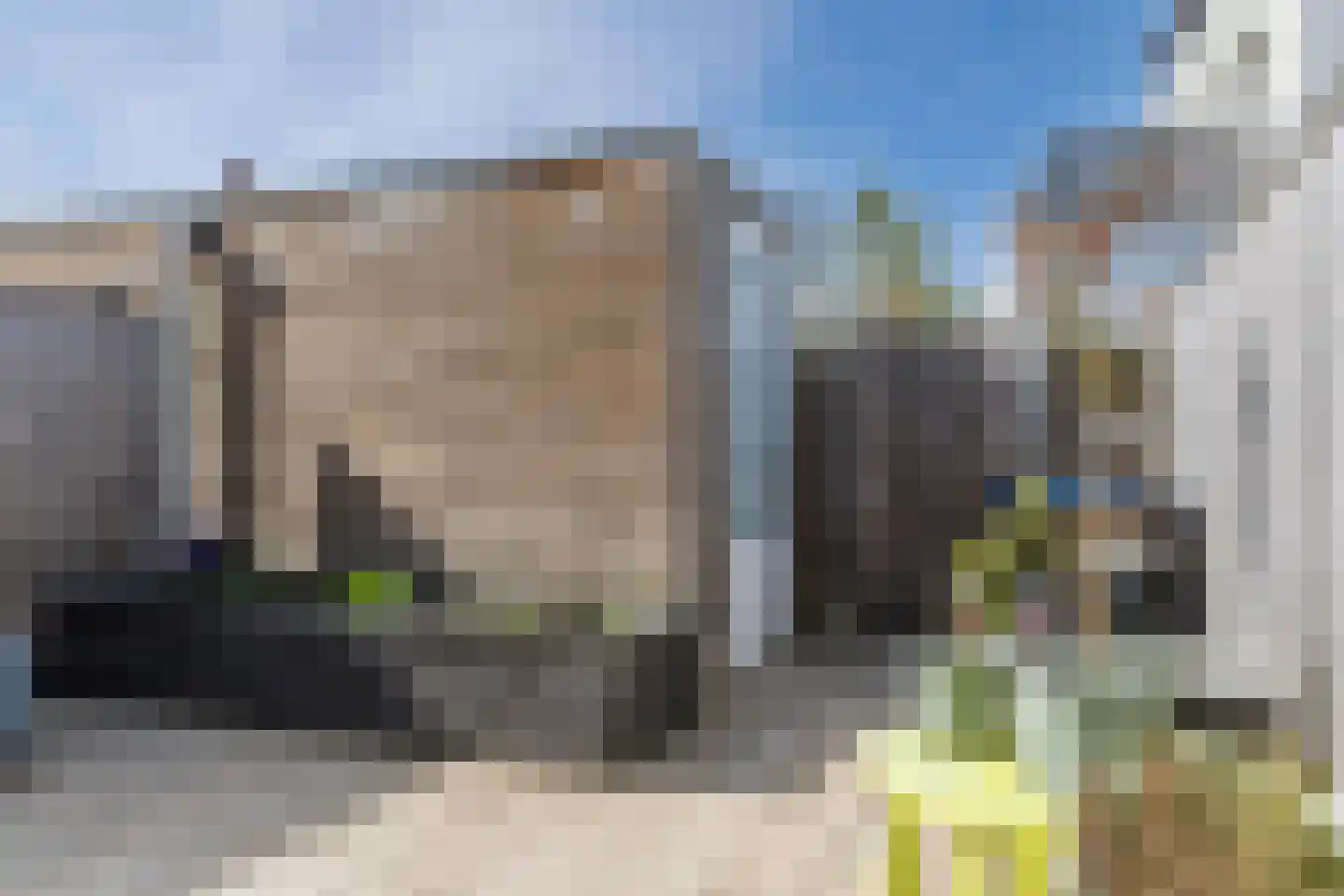 Penningkruid 88 Bodegraven thumbnail 60