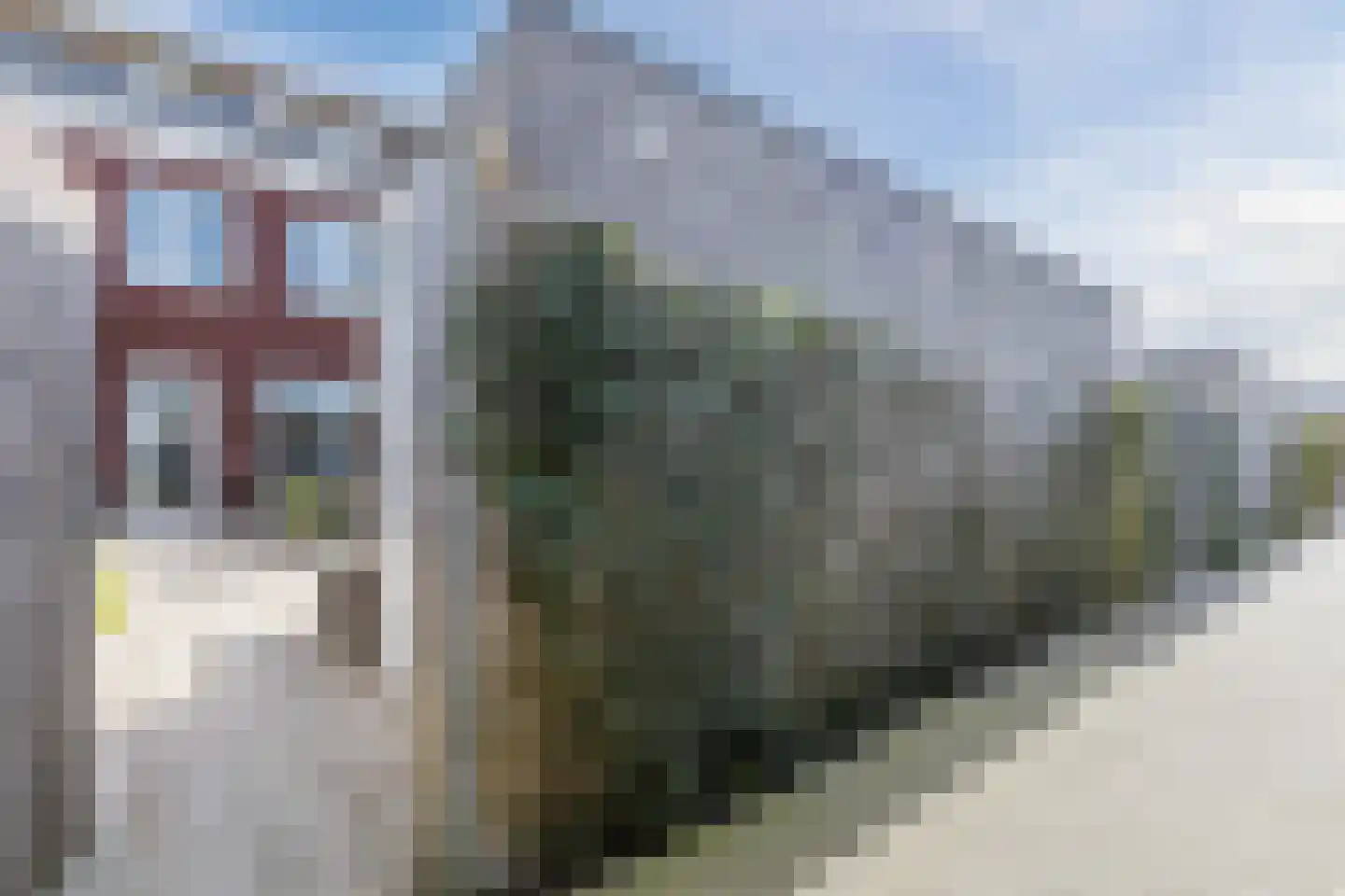Penningkruid 88 Bodegraven thumbnail 62
