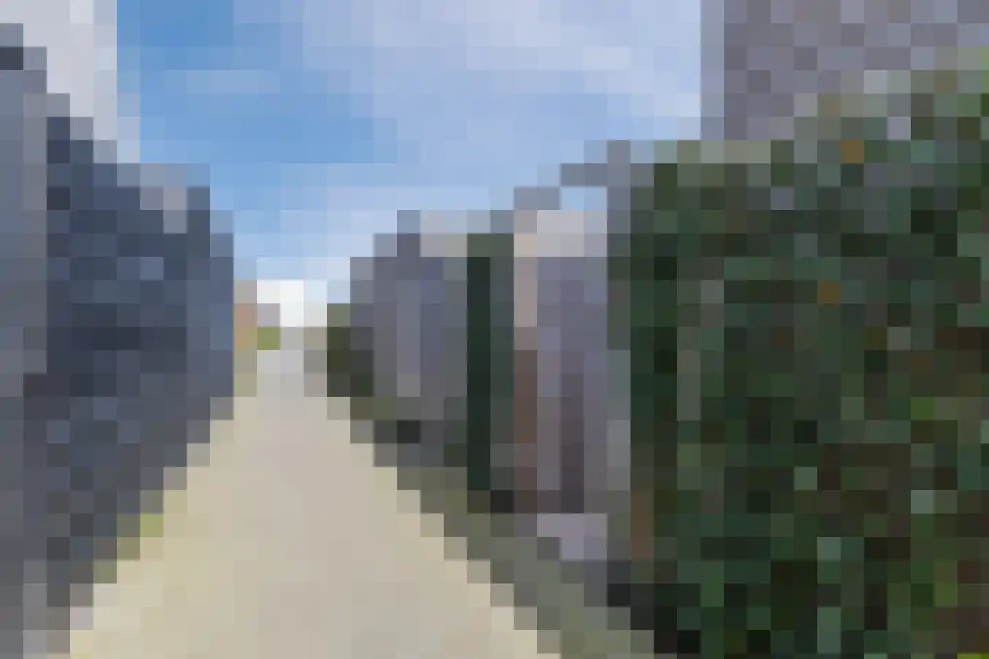 Penningkruid 88 Bodegraven thumbnail 63