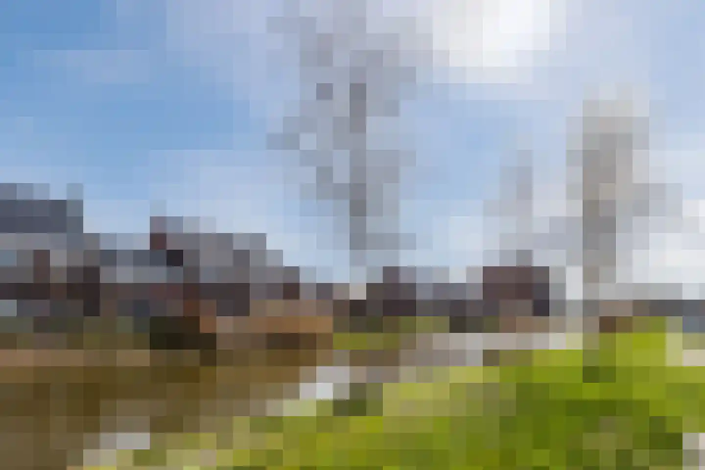 Penningkruid 88 Bodegraven thumbnail 69