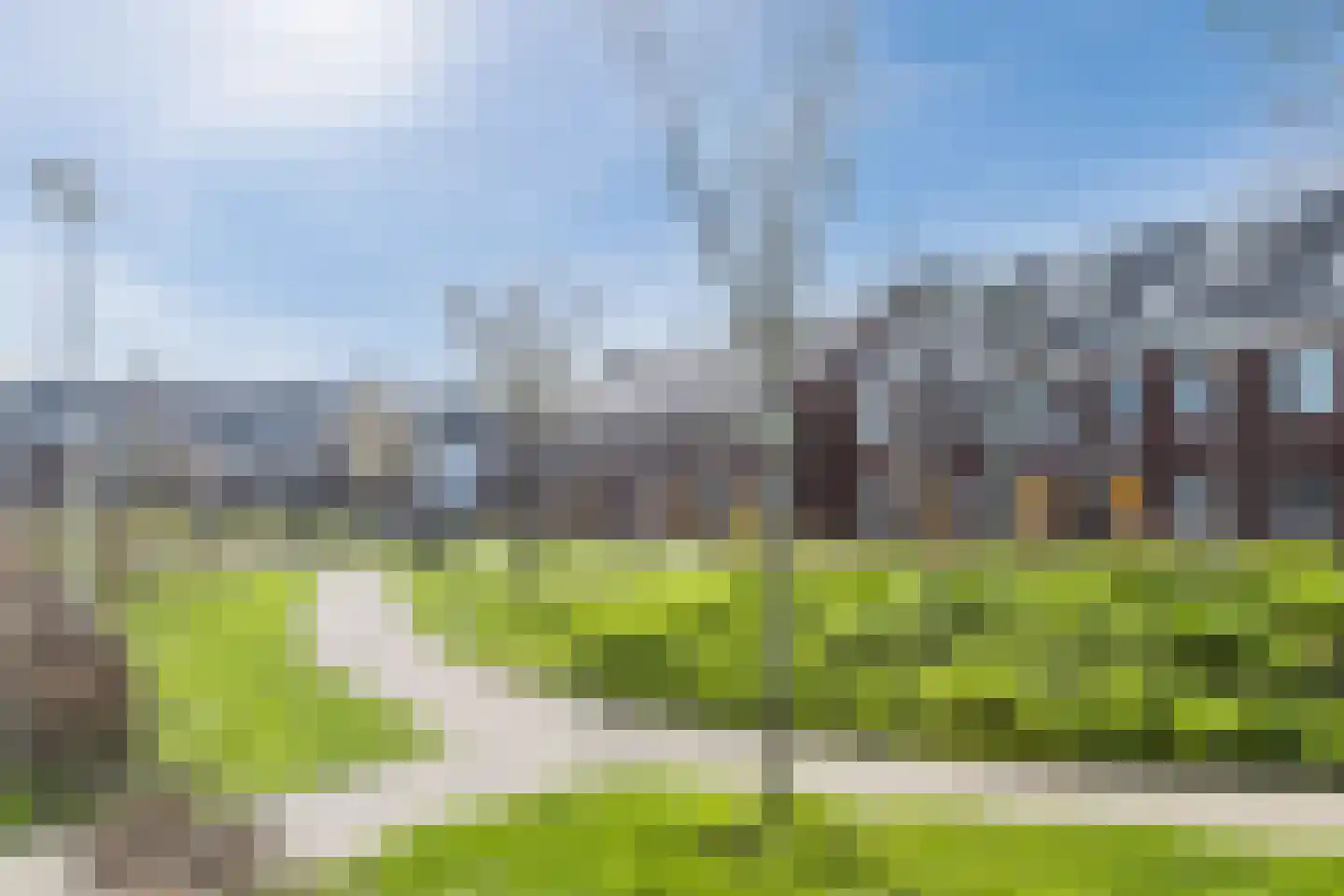 Penningkruid 88 Bodegraven thumbnail 70