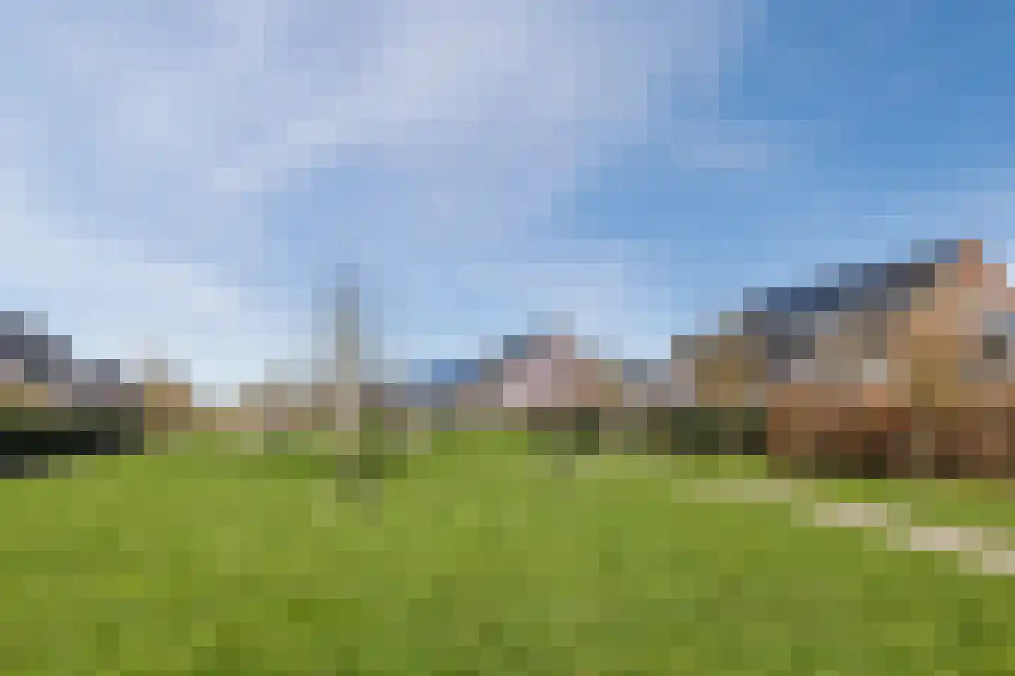 Penningkruid 88 Bodegraven thumbnail 72