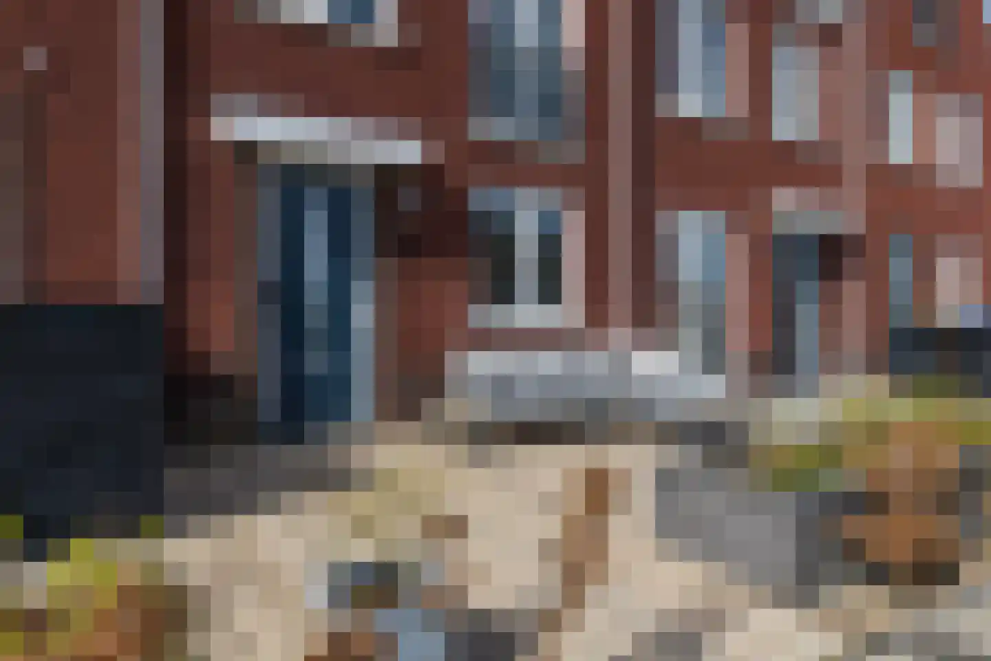 Penningkruid 88 Bodegraven thumbnail 8