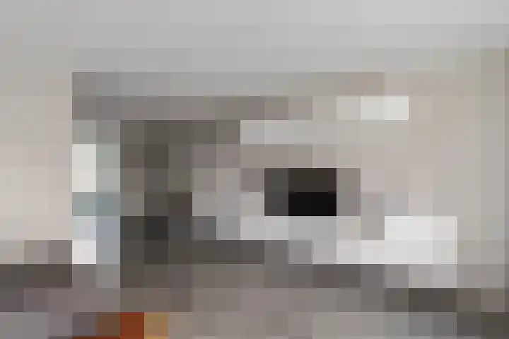 Penningkruid 9 Nieuwerkerk aan den IJssel thumbnail 11