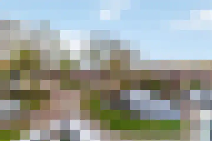 Penningkruid 9 Nieuwerkerk aan den IJssel thumbnail 15