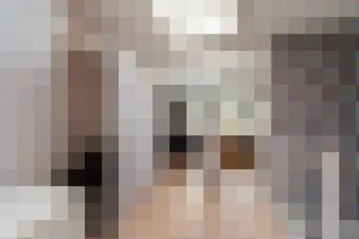 Penningkruid 9 Nieuwerkerk aan den IJssel thumbnail 19