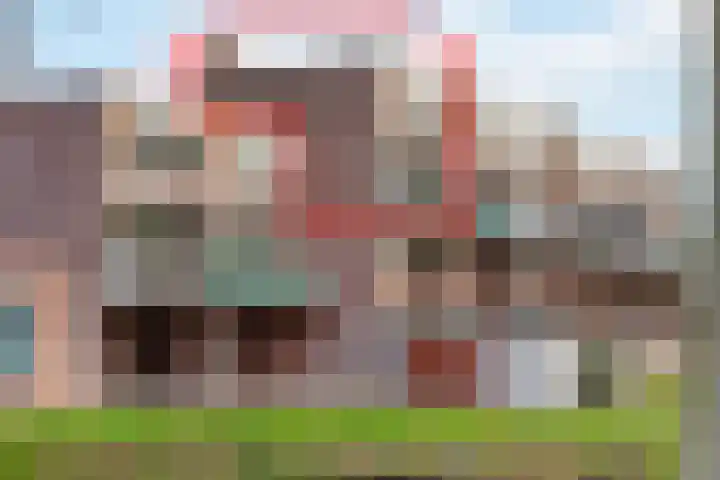 Penningkruid 9 Nieuwerkerk aan den IJssel thumbnail 29