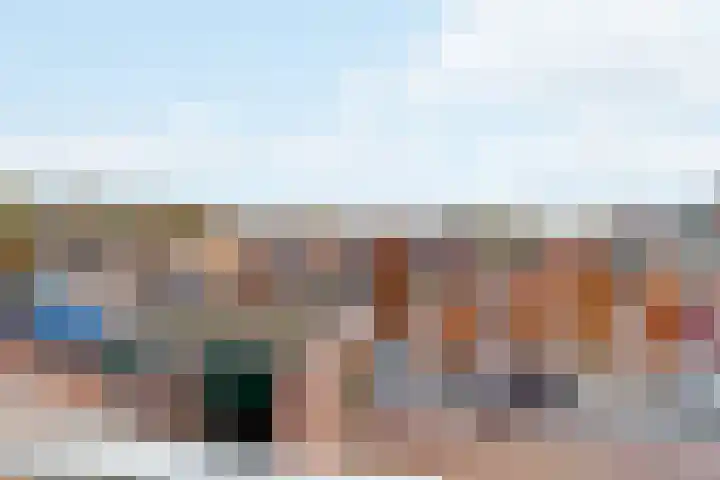 Penningkruid 9 Nieuwerkerk aan den IJssel thumbnail 30