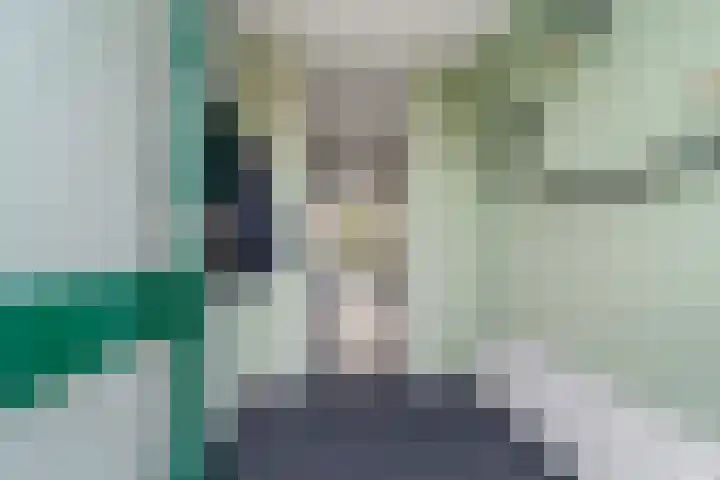 Penningkruid 9 Nieuwerkerk aan den IJssel thumbnail 5