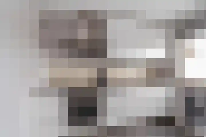 Penningkruid 9 Nieuwerkerk aan den IJssel thumbnail 6