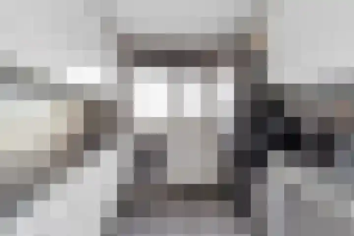 Penningkruid 9 Nieuwerkerk aan den IJssel thumbnail 7