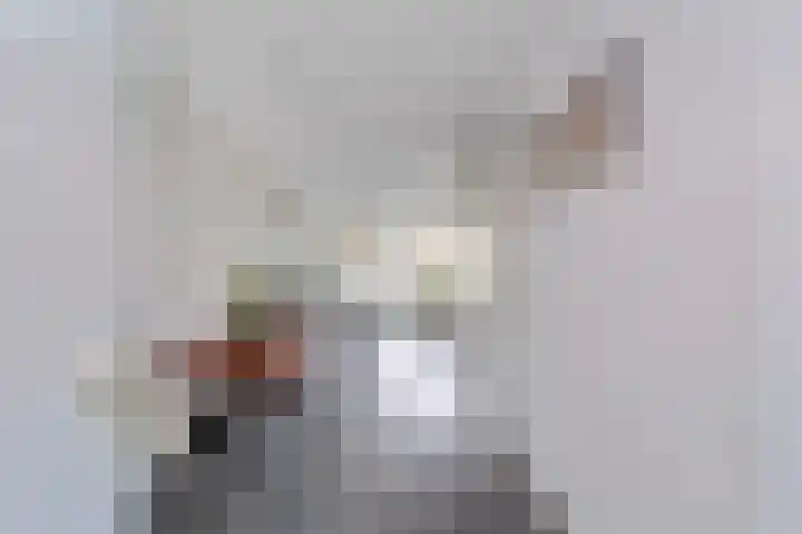 Penningkruid 9 Nieuwerkerk aan den IJssel thumbnail 8