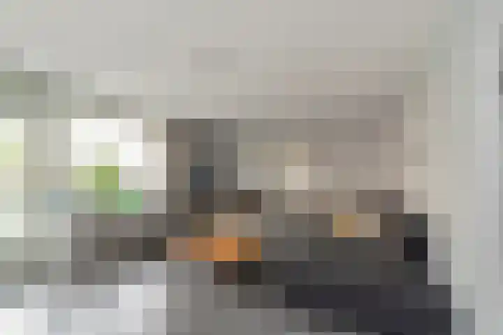 Penningkruid 9 Nieuwerkerk aan den IJssel thumbnail 9