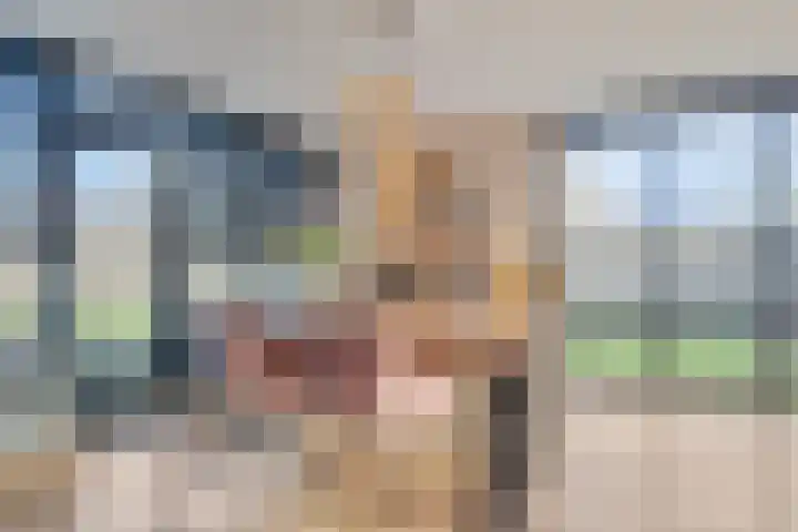 Penningkruid 9 Venray thumbnail 10