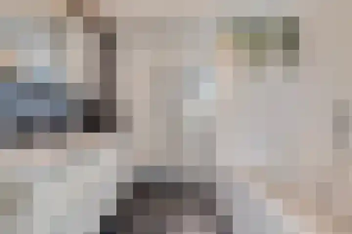 Penningkruid 9 Venray thumbnail 22