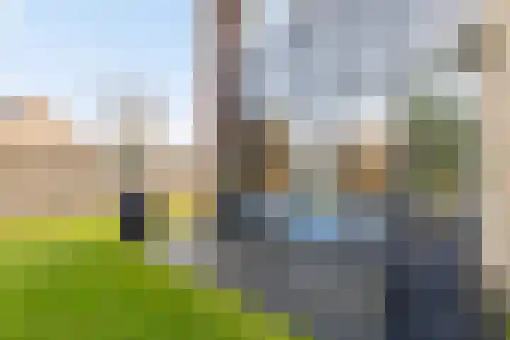 Penningkruid 9 Venray thumbnail 28