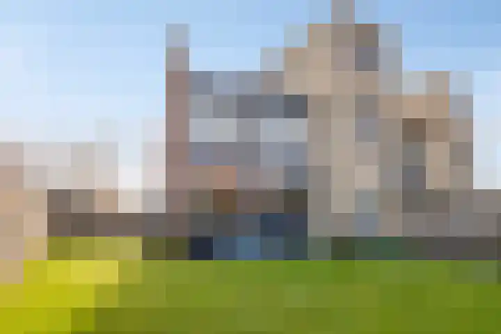 Penningkruid 9 Venray thumbnail 32