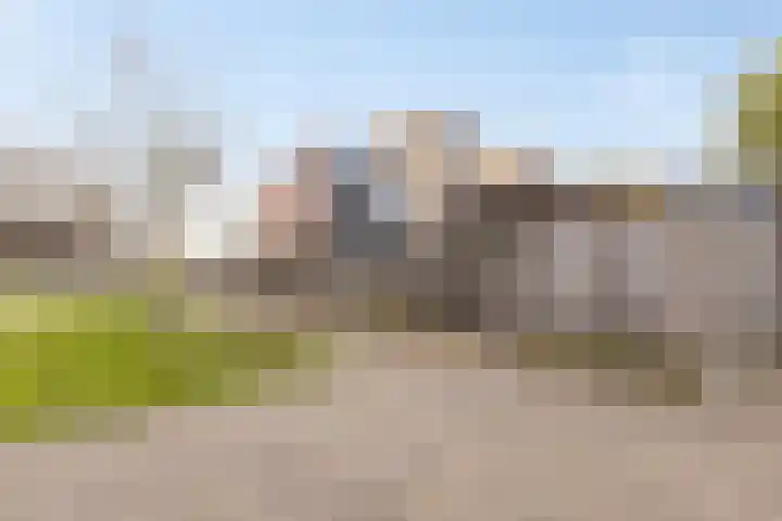 Penningkruid 9 Venray thumbnail 34