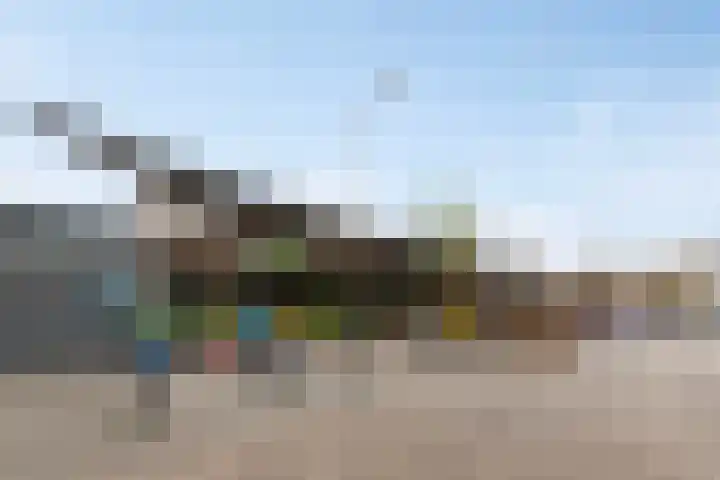 Penningkruid 9 Venray thumbnail 38