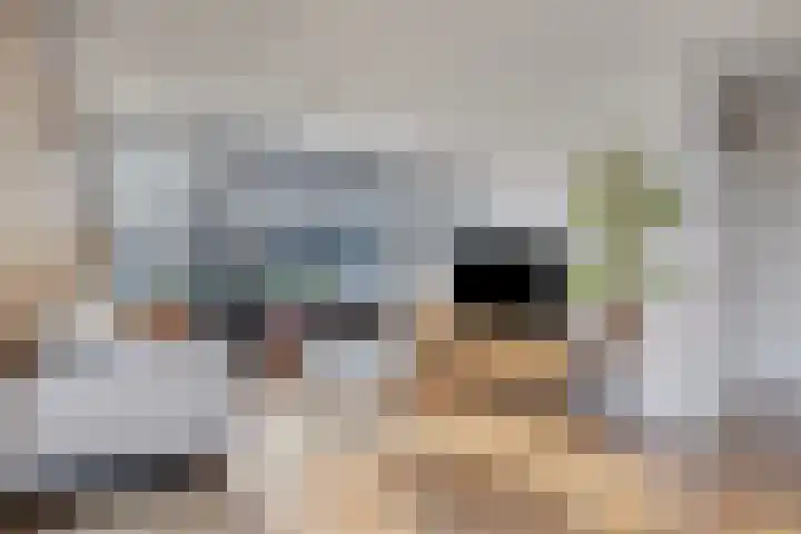 Penningkruid 9 Venray thumbnail 7