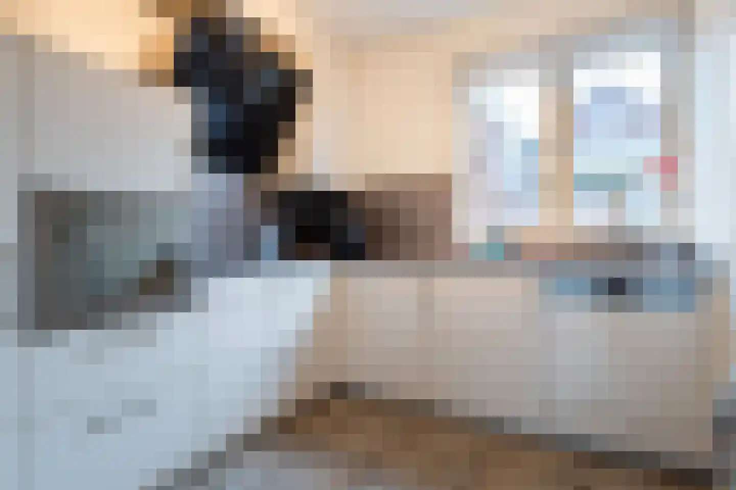 Penningkruid 91 Cuijk thumbnail 11