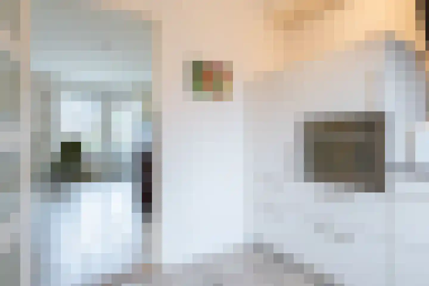 Penningkruid 91 Cuijk thumbnail 13