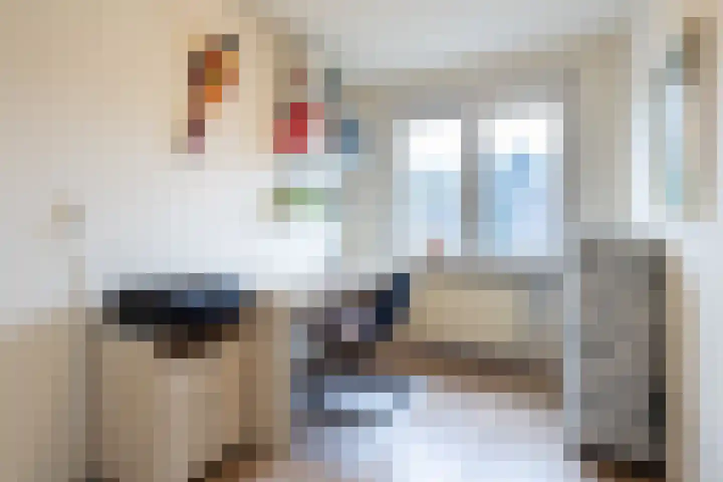 Penningkruid 91 Cuijk thumbnail 14