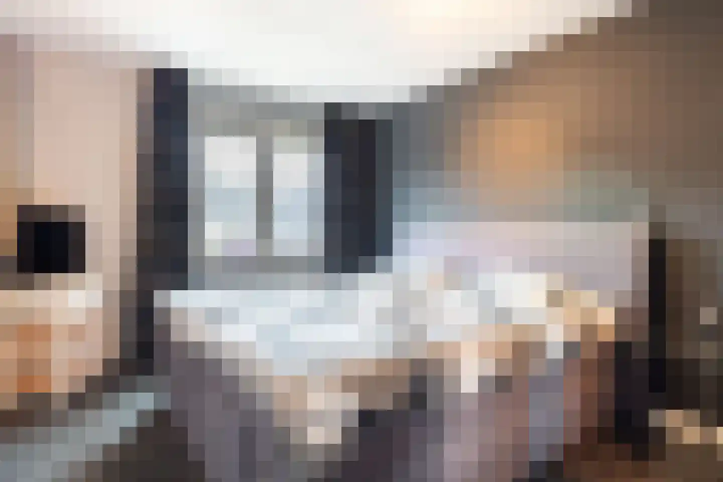 Penningkruid 91 Cuijk thumbnail 15