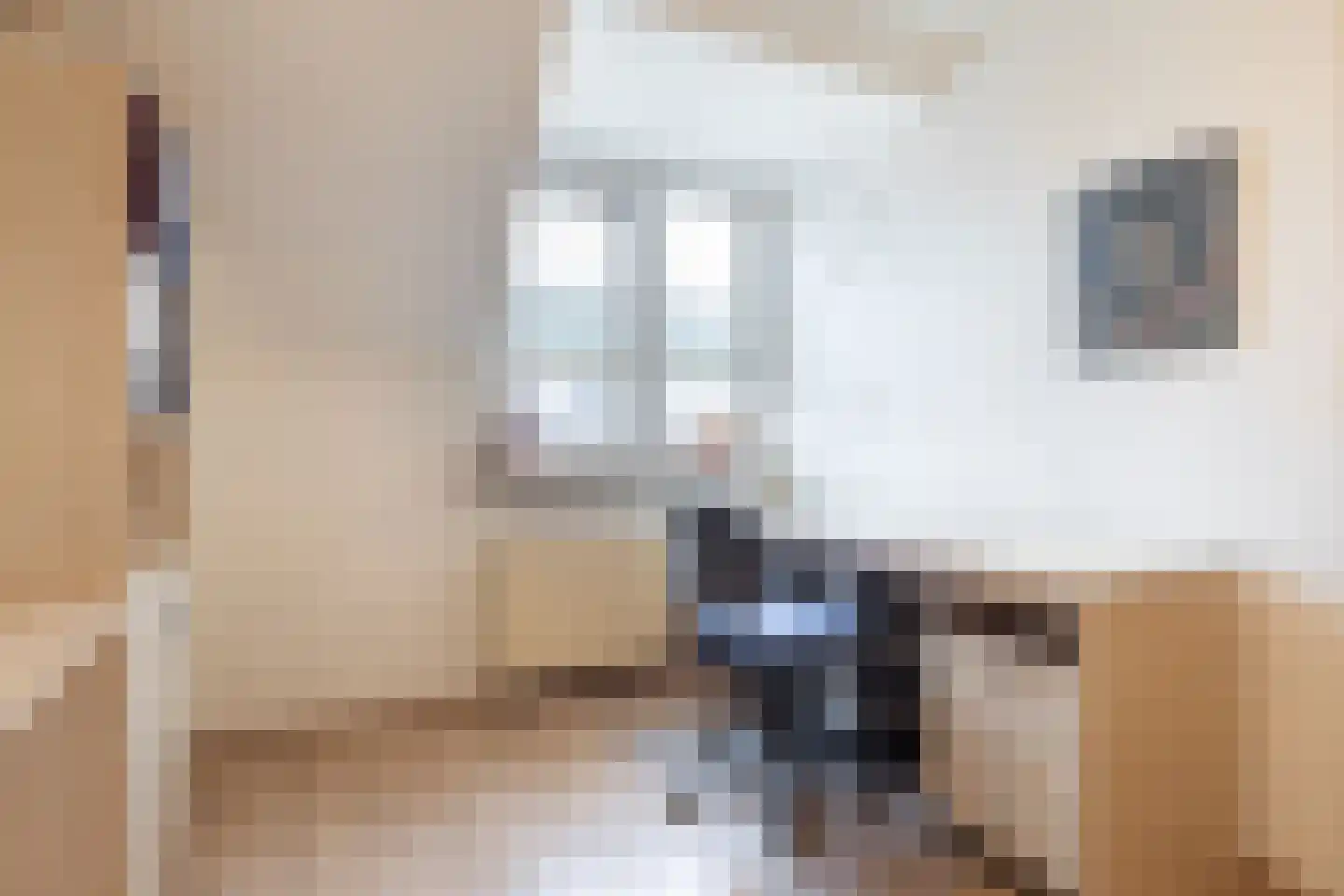 Penningkruid 91 Cuijk thumbnail 18